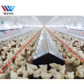 Steel Structure Construction Design  Poultry Farming For Pig Shed